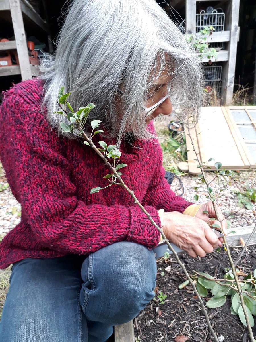 Let's Grow Together tweet media