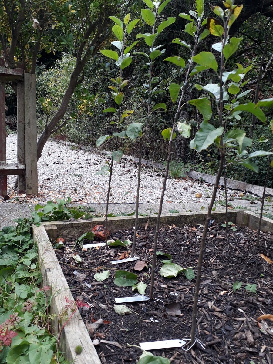 Let's Grow Together tweet media