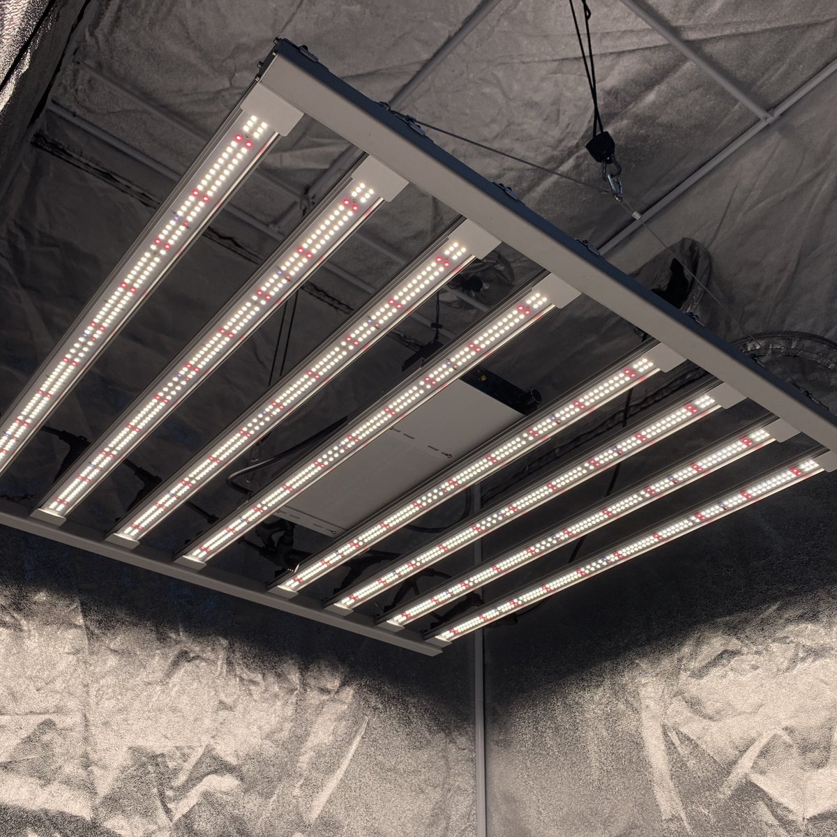 SproutBoxx's tweet photo. Free next business day shipping is back for a limited time for UK customers on full spectrum YB-4/6K bars, YC-1/2K quantum boards and YD-1/2K Quantum Trays #Mmemberville #SproutBoxx https://t.co/n7oVJLBi9e