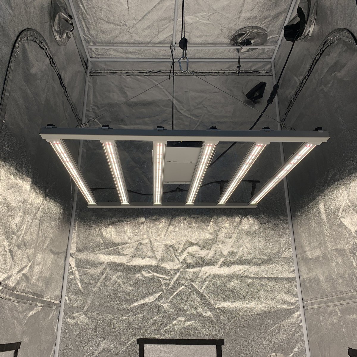 SproutBoxx's tweet photo. Free next business day shipping is back for a limited time for UK customers on full spectrum YB-4/6K bars, YC-1/2K quantum boards and YD-1/2K Quantum Trays #Mmemberville #SproutBoxx https://t.co/n7oVJLBi9e