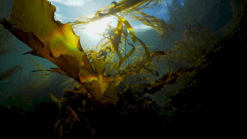 daily-camera-on-twitter-mountainfilm-at-chautauqua-and-other-boulder