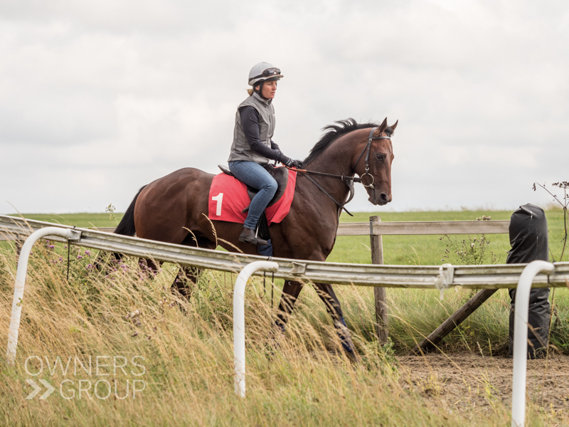 Nickleby is back in action tonight, running in the 6:00 <a href="/Southwell_Races/">Southwell Racecourse</a>. Good luck to his owners, trainer <a href="/JCamachoRacing/">Julie Camacho Racing</a> and jockey Graham Lee. #OwnersGroup #Nickleby