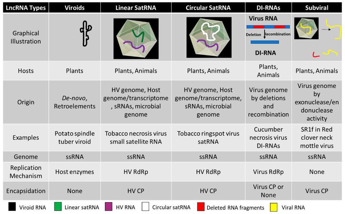 Pathogens_MDPI's tweet image. #EditorsChoice
Long Noncoding RNAs in #PlantViroids and Viruses: A Review, by Nipin Shrestha et al.

👉👉Full-Text mdpi.com/2076-0817/9/9/…
 #RNAviruses