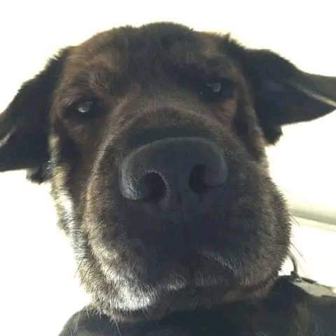 JeffMwape17's tweet photo. When you accidentally open your front camera😂 https://t.co/LxWxUPfuw4