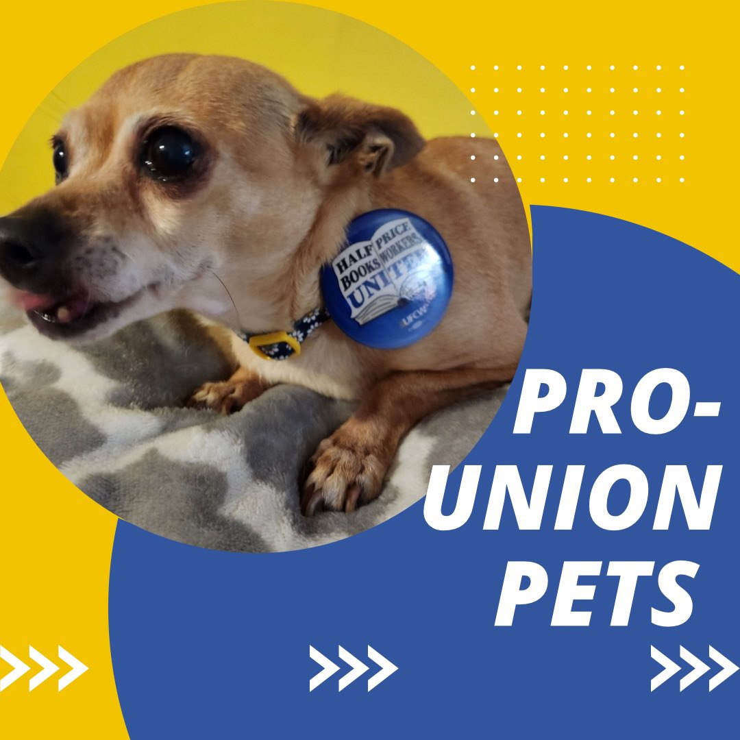 Guiness can practically taste our win this Friday! Show us your #prounionpet in solidarity! #freeelections #unionvote