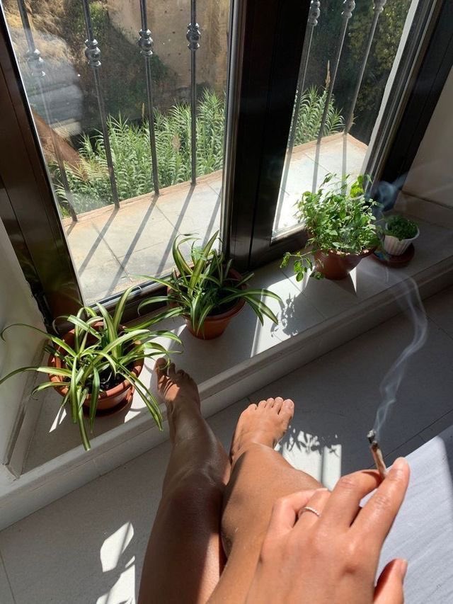 replicatee's tweet image. 