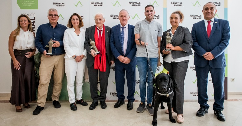ONCE_oficial's tweet photo. 🦮El #PerroGuía Xabat, primero en el mundo en acompañar a una persona #ciega y sin manos, recibe el premio 'Bienestar Animal' del Colegio de Veterinarios de #Madrid

@COLVEMA @melisatuya @VeterinariaUCM @WorldVetAssoc
#VIPremiosBienestarAnimalCOLVEMA #FOPG #SiempreCaminandoJuntos