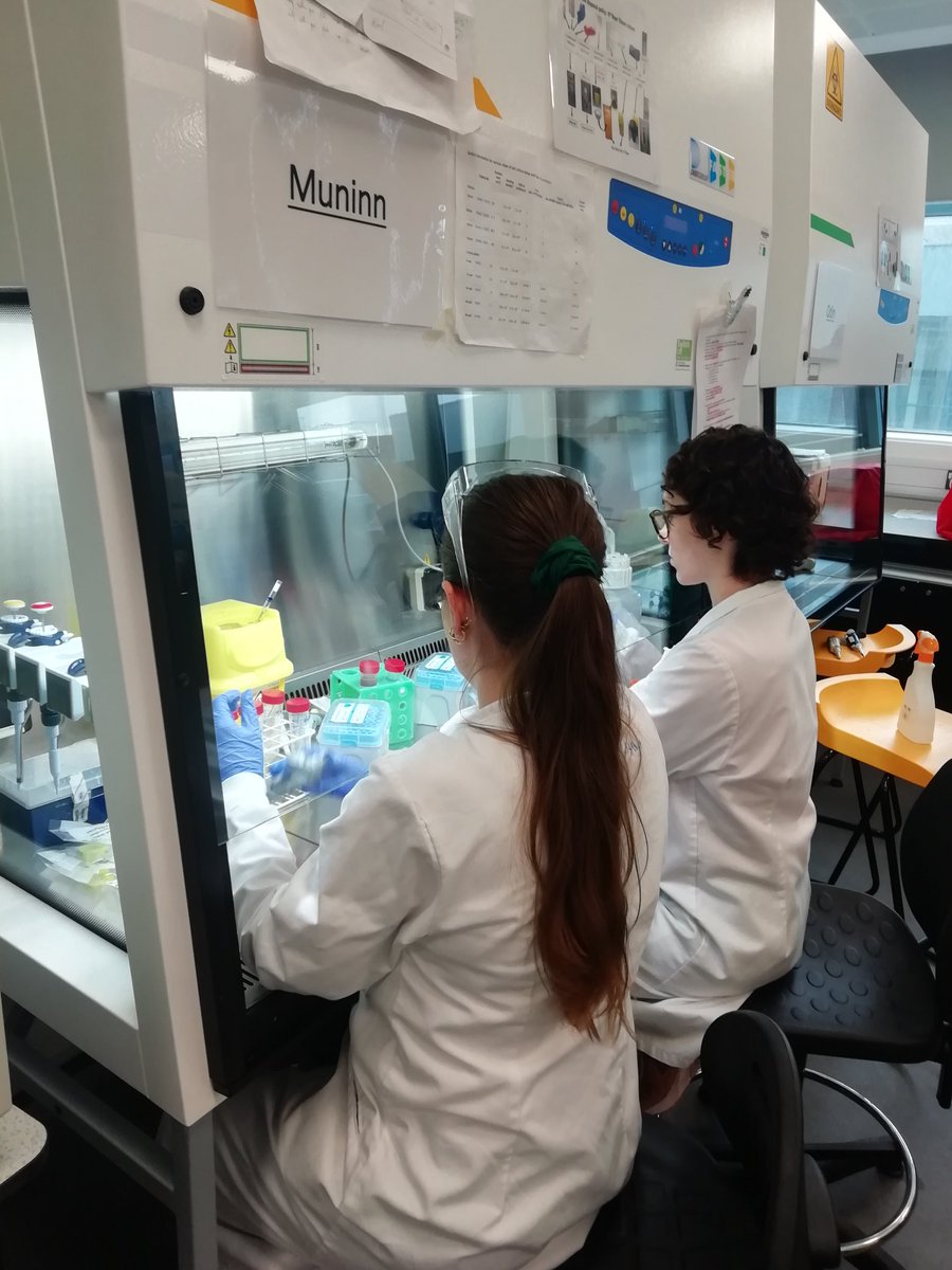 MMU Thrombosis Research Group (@mmu_thrombosis) on Twitter photo Team work makes the dream work!
#TeamScience
A busy afternoon culturing #megakaryocytes
#WomenInSTEM
<a href="/mmucvrg/">MMU Cardiovascular Research Group</a> <a href="/MMU_CBS/">MMU Centre for Bioscience</a> <a href="/MMUEngage/">Manchester Met Science and Engineering</a> <a href="/MMU_LifeScience/">ManMet Life Sciences</a> Team work makes the dream work!
#TeamScience
A busy afternoon culturing #megakaryocytes
#WomenInSTEM
<a href="/mmucvrg/">MMU Cardiovascular Research Group</a> <a href="/MMU_CBS/">MMU Centre for Bioscience</a> <a href="/MMUEngage/">Manchester Met Science and Engineering</a> <a href="/MMU_LifeScience/">ManMet Life Sciences</a>