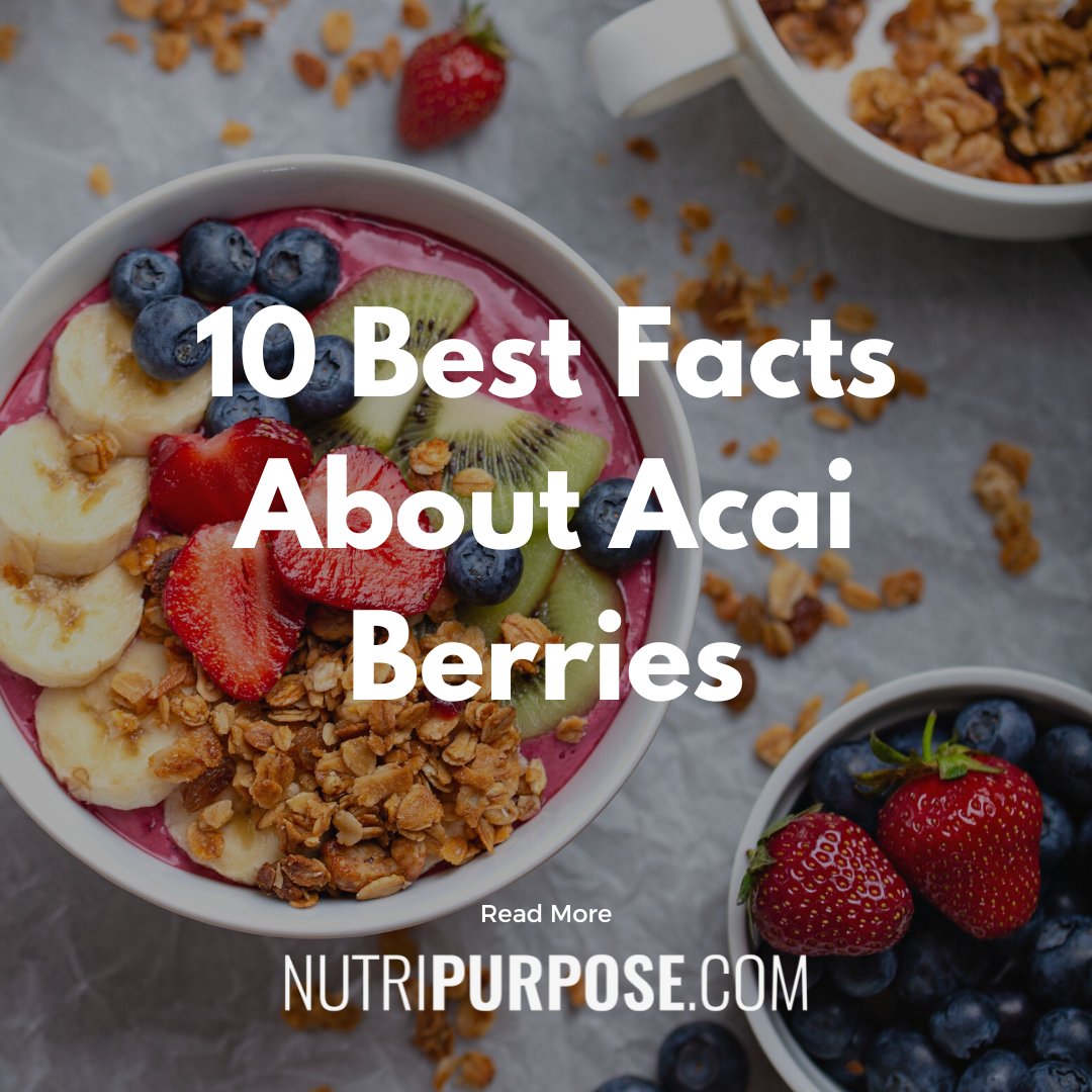 Here are the 10 best facts about Acai Berries:

nutripurpose.com/benefits-of-ac…

#acaibowl #acaiberry #acai #fat2fit #fattofit #weightlossstory #igweightloss #weightlossgoal #weightlossresults #weightlossprogram #weightlosstea #weightlossfood #weightlossstruggle #weightlossproblems