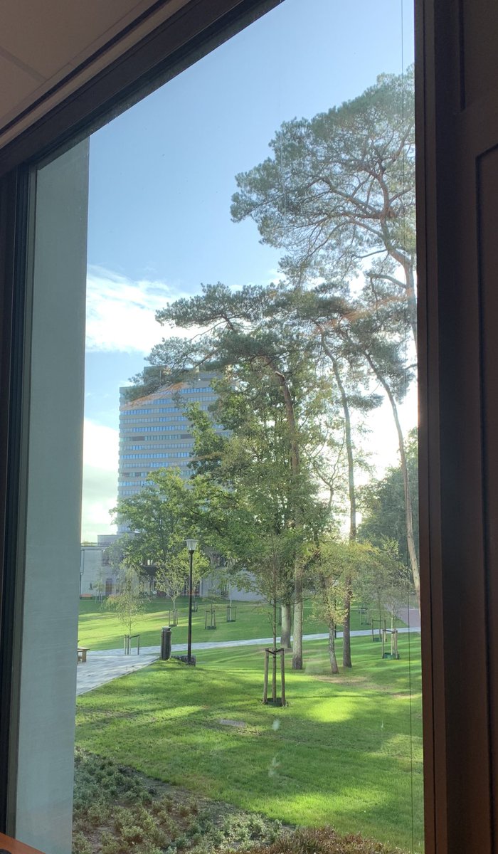 Soha Farboud | So tweet media