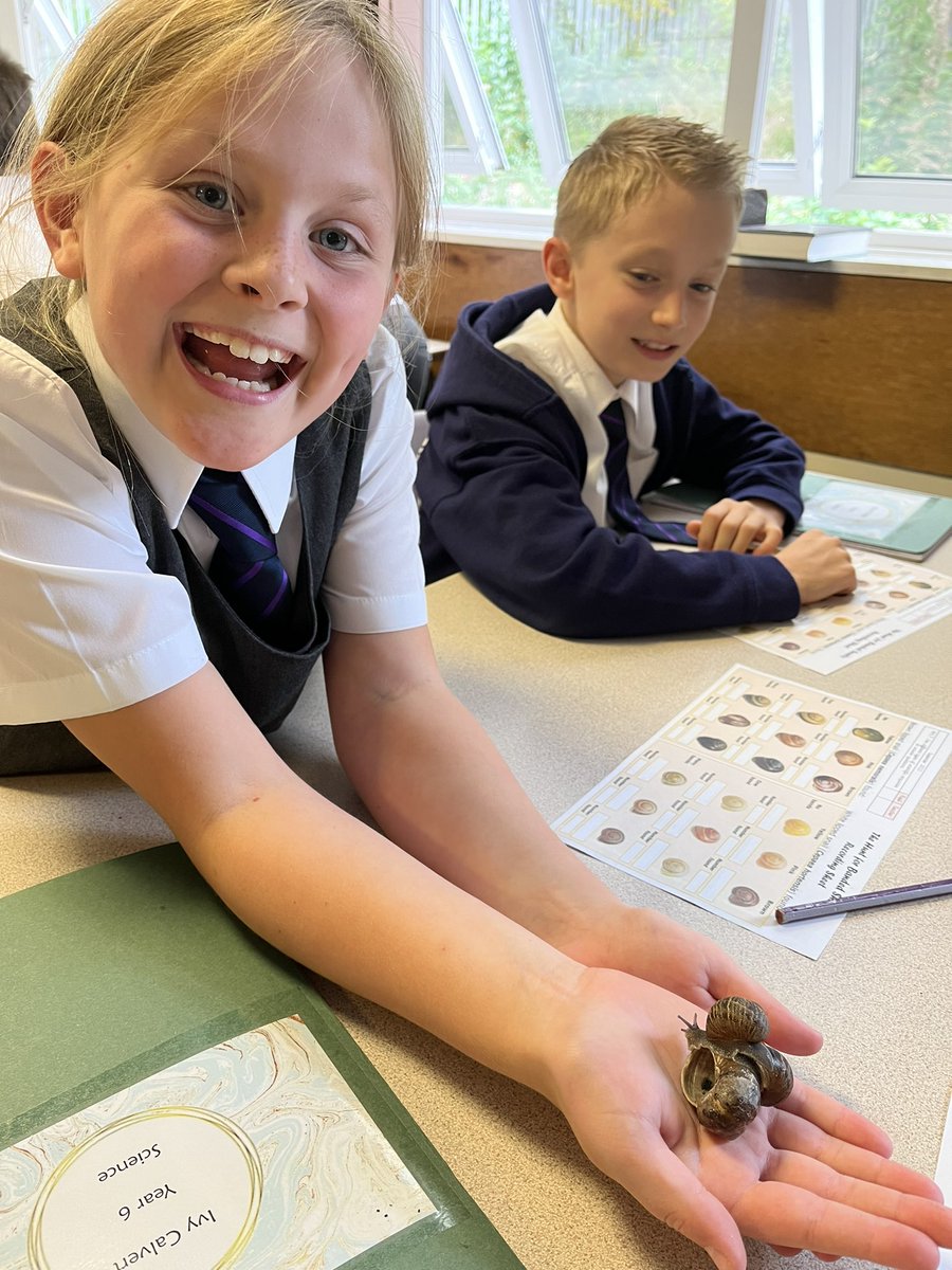 class6_mill's tweet image. We are enjoying learning about inheritance this afternoon! #themillscience