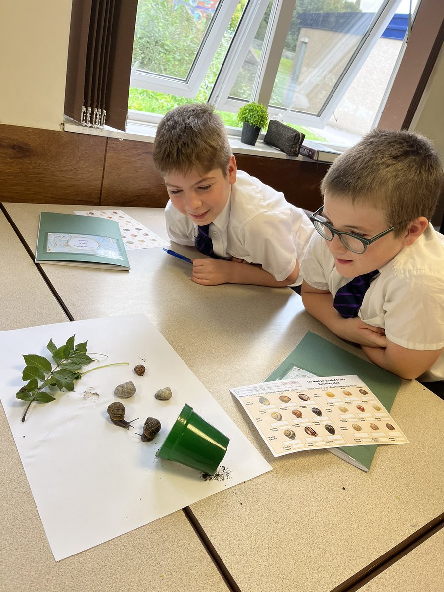 class6_mill's tweet image. We are enjoying learning about inheritance this afternoon! #themillscience