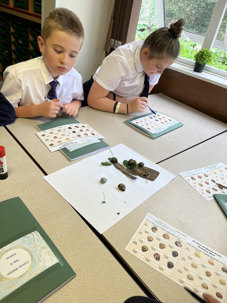 class6_mill's tweet image. We are enjoying learning about inheritance this afternoon! #themillscience