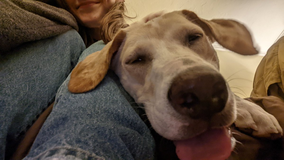 meldred l. bonk tweet media