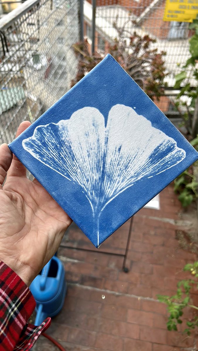 24ти е светскиот ден на цијанотипијата!!! Зрно прати свои дела и ја обоивме Македонија во сино💙
Дали имаме овде цијаноТипки и цијаноТипци? #worldcyanotypeday <a href="/alternativephot/">AlternativePhotography.com</a>