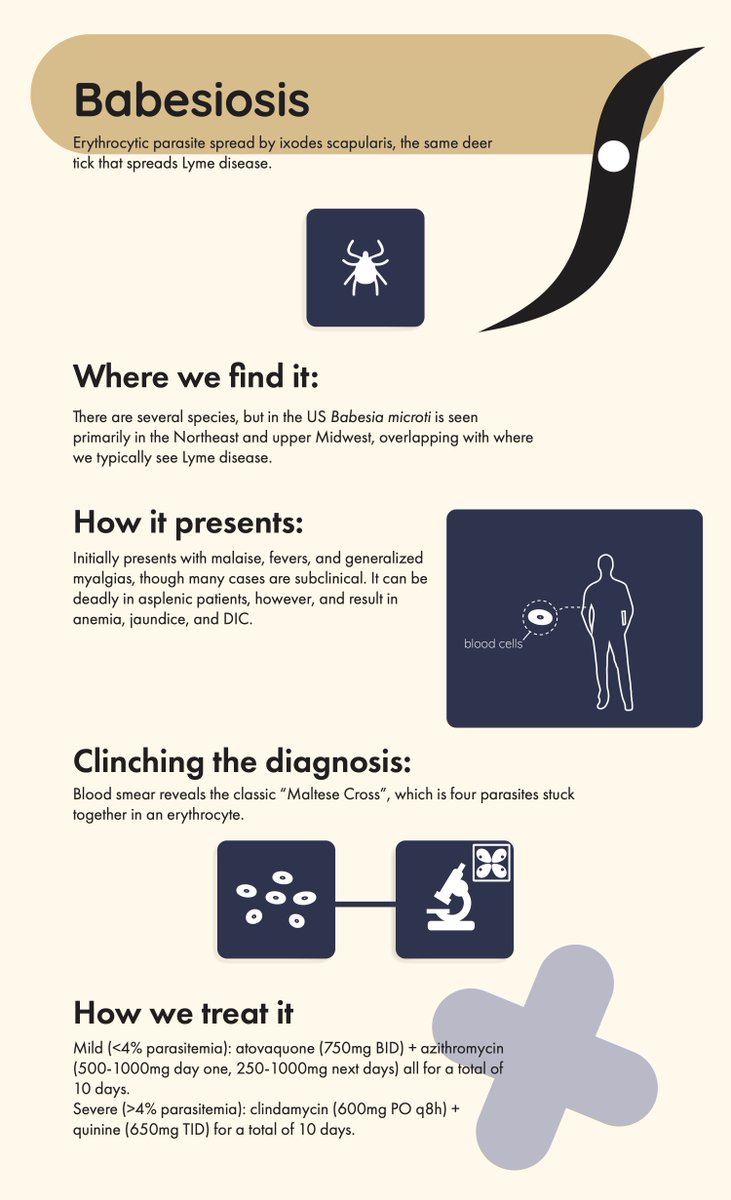 TamingtheSRU's tweet photo. Therapeutics: Global Parasitic Infections with @StanfordSchor https://t.co/z74wEk97Xz #FOAMed #globalhealth #parasites https://t.co/gxBf5cXoBt