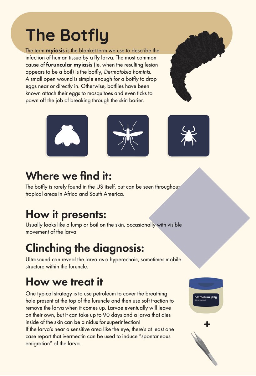 TamingtheSRU's tweet photo. Therapeutics: Global Parasitic Infections with @StanfordSchor https://t.co/z74wEk97Xz #FOAMed #globalhealth #parasites https://t.co/gxBf5cXoBt