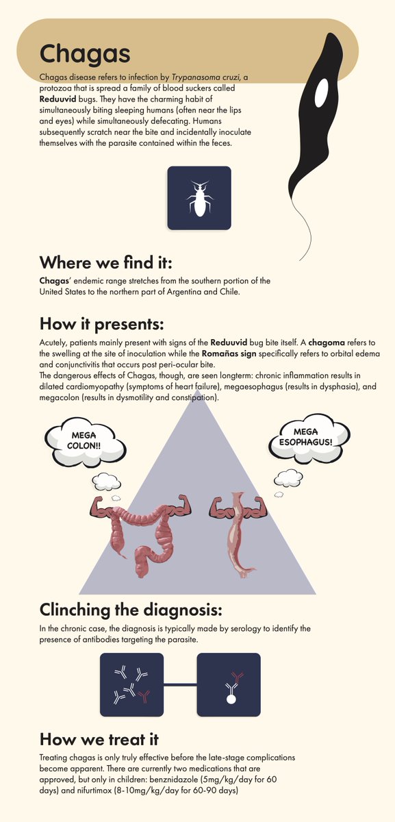 TamingtheSRU's tweet photo. Therapeutics: Global Parasitic Infections with @StanfordSchor https://t.co/z74wEk97Xz #FOAMed #globalhealth #parasites https://t.co/gxBf5cXoBt