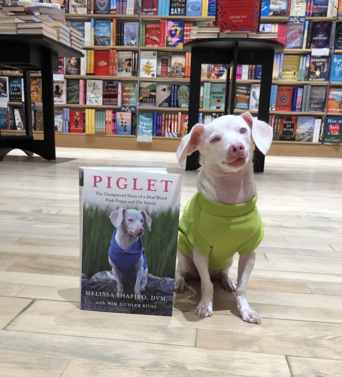 CTBookCTH's tweet photo. Learn more about Westport's Melissa Shapiro!
Her book PIGLET is a finalist for a CT Book Award for Nonfiction!
Visit our Q & A!
https://t.co/vc3M8HFrzV
#CTBookAwards22
#CTAuthor
@HPLCT @AtriaBooks @WestportLibrary https://t.co/rPXPoATStK