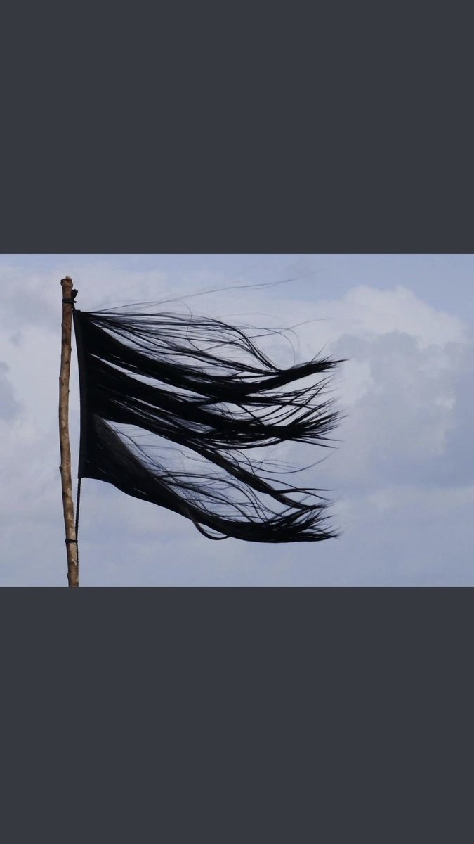 “Saraylar Saltanatlar Çöker / Kan Susar Bir Gün / Zulüm Biter / Menekşeler De Açılır Üstümüzde / Leylaklar Da Güler / Bugünlerden Geriye / Bir Yarına Gidenler Kalır / Bir De Yarınlar İçin Direnenler” Adnan Yücel #iran #direniş #eyözgürlük