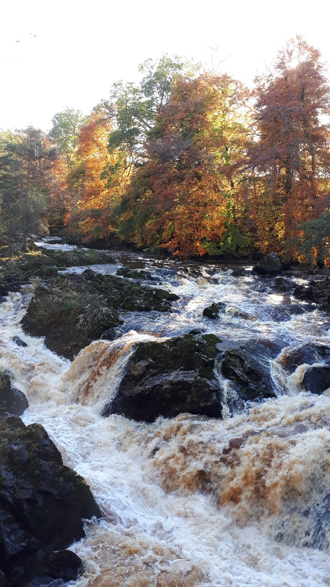 Grampian Escapes & Tours Ltd tweet media