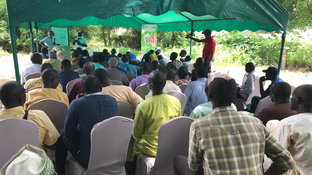 ICAC_cotton's tweet photo. The ICAC was back on the ground in Cameroon on 20 September, changing the lives of people who need help the most: small holder cotton farmers.

It was a 'train the trainers' session to impart best practices to cotton professionals who will take their knowledge to other farmers. https://t.co/N7g6PtZzGK