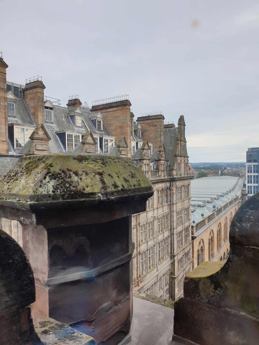 Ruth Whitney tweet media