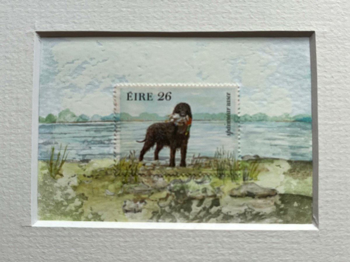 JillingsTonia's tweet photo. Water Spaniel
Eire Working Dog, #Huntingdog #WaterSpaniel #Eire #gamekeeper
art size 2.5 x 3.5 inches - mounted 6x8 inches https://t.co/SaBYCX0Fka