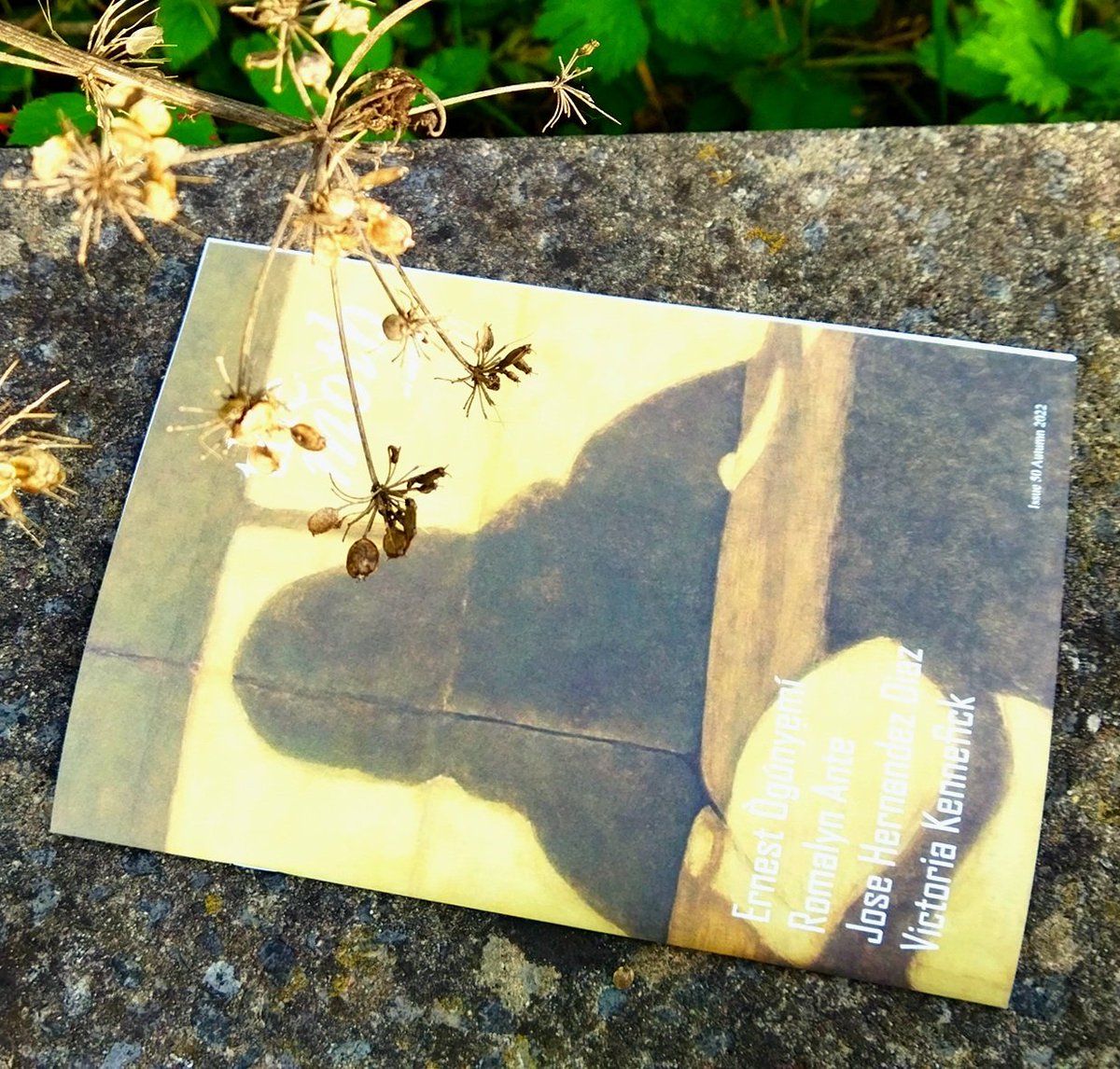 In the new Autumn issue: 

📚 Sarah Hall's three Moth Short Story Prize winners

🗣 Interviews with Victoria Kennefick and Romalyn Ante

🪦 Poems about graveyards and aliens and encyclopedias and maggots and more

Have you got yours?: bit.ly/moth50