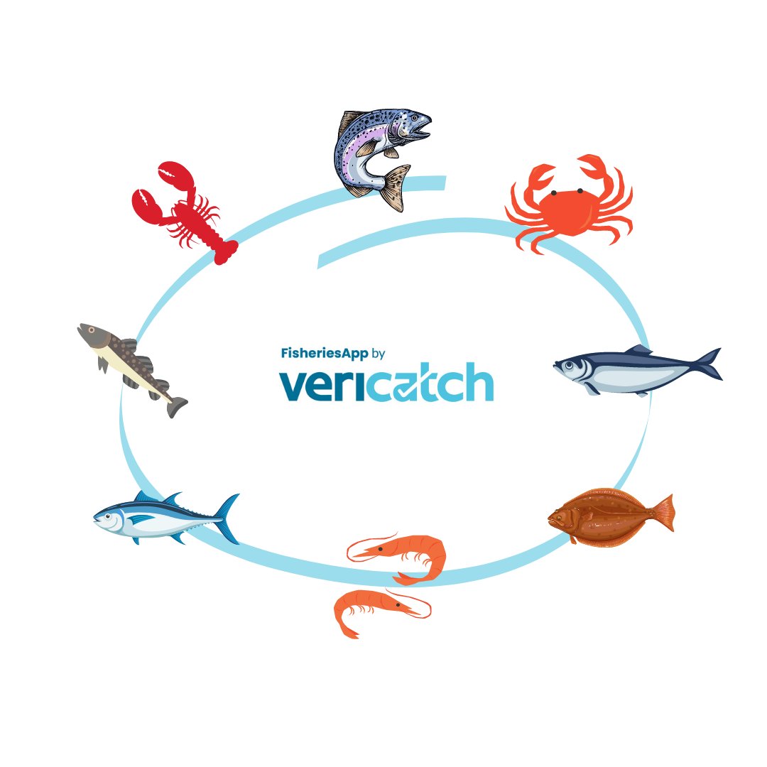 vericatch's tweet photo. We consulted a wide variety of fish harvesters throughout the entire process of developing our FisheriesApp #ELOGS. And we're still working with them as we continue to hone our software to meet fishermen's needs now that our ELOGS are nationally certified by the DFO. #oceantech https://t.co/m7IiI7VqjU