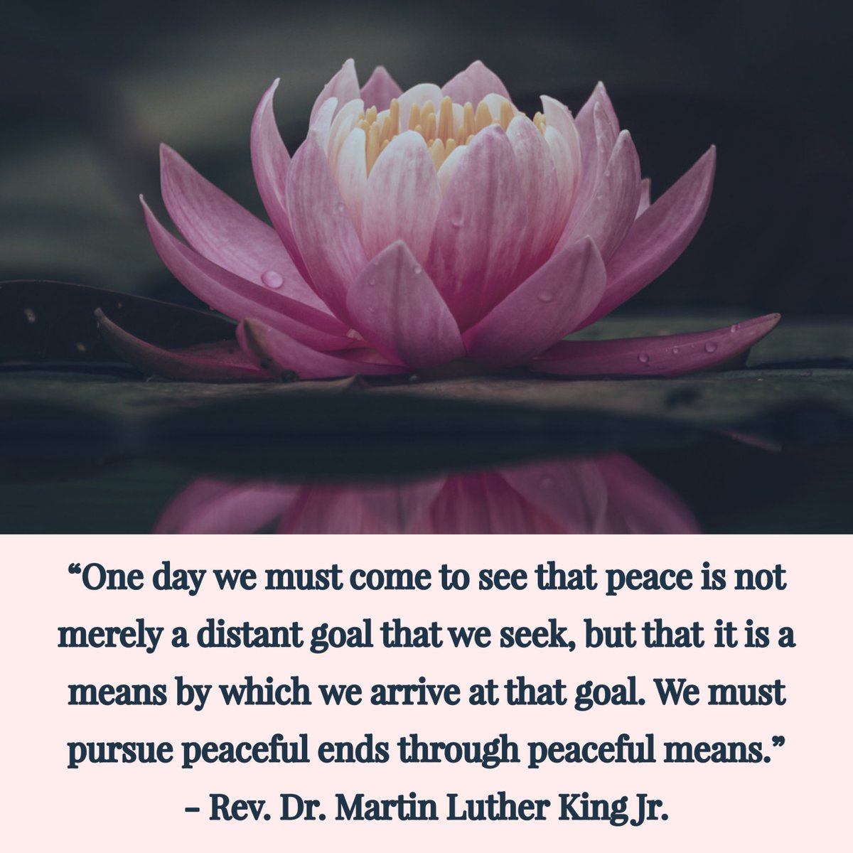 Wishing everyone the warmest Aloha on this International Day of Peace 2022 #internationaldayofpeace #peaceday2022