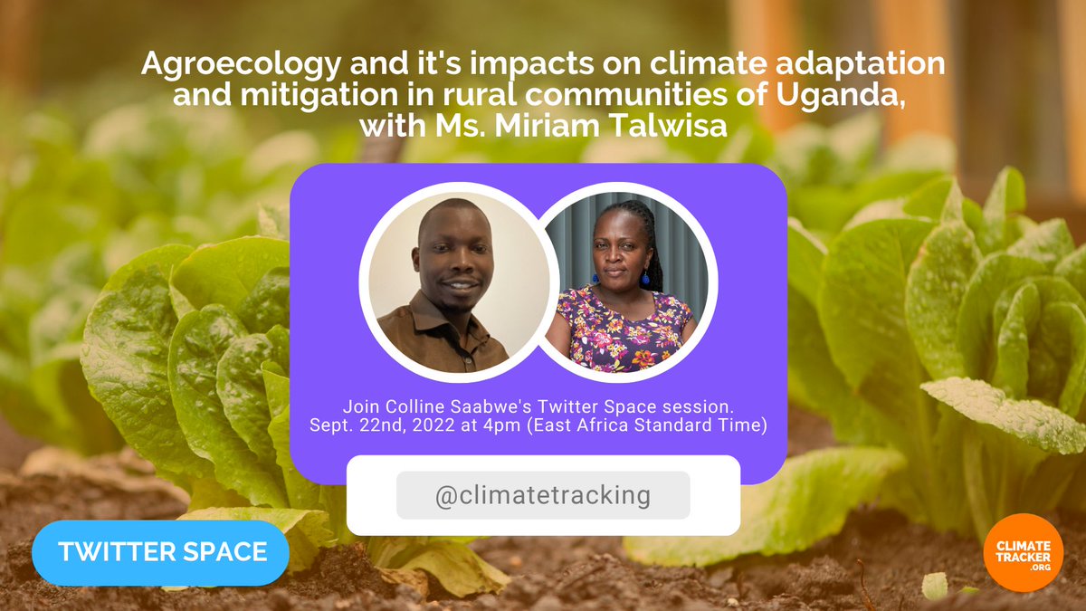 Climate Tracker tweet media