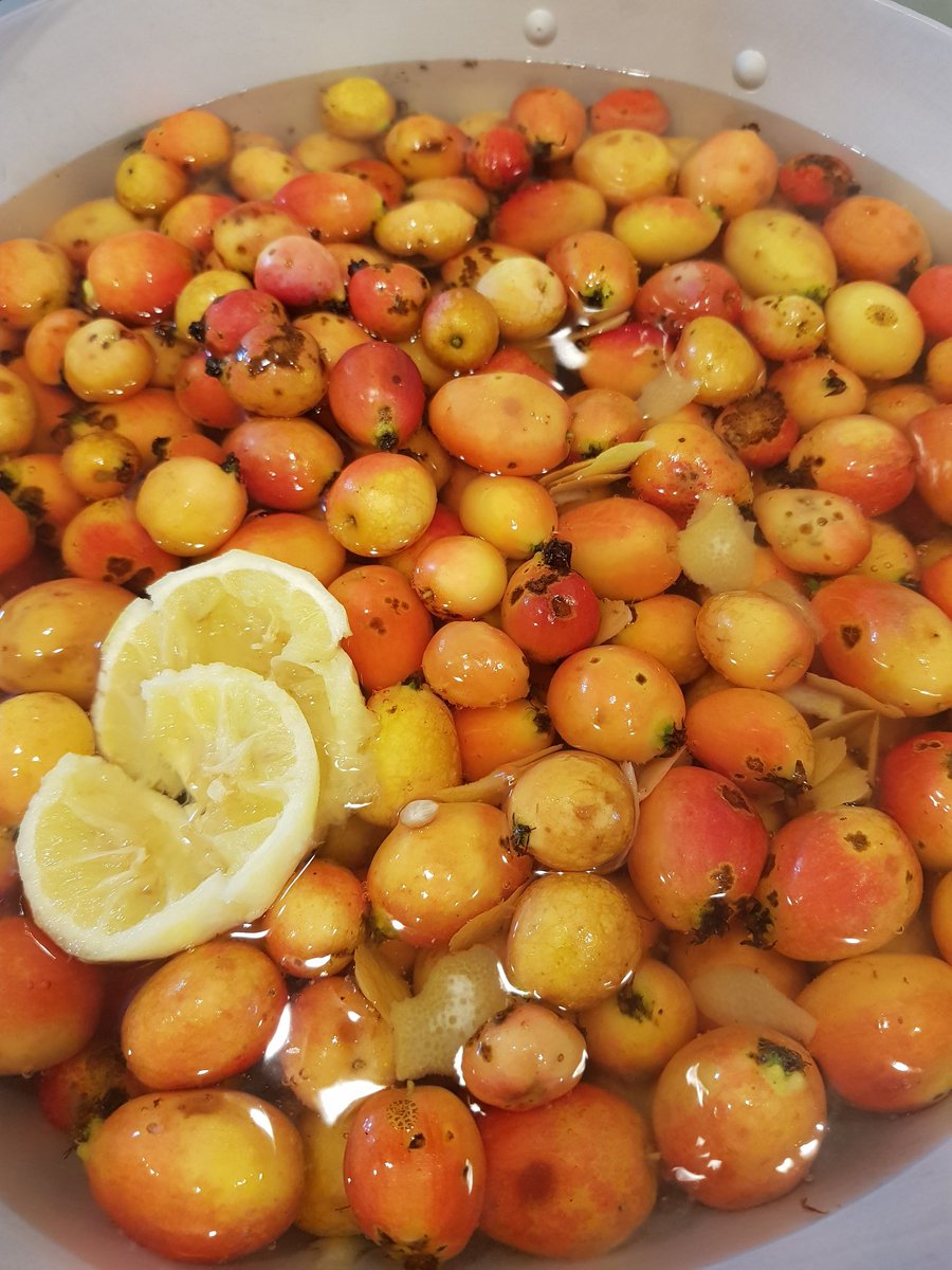 clairelmackie's tweet photo. Love a Scottish harvest season. Crab apple jelly ready in two days time. #CookingWithClaire https://t.co/NSlAwFu5Eu