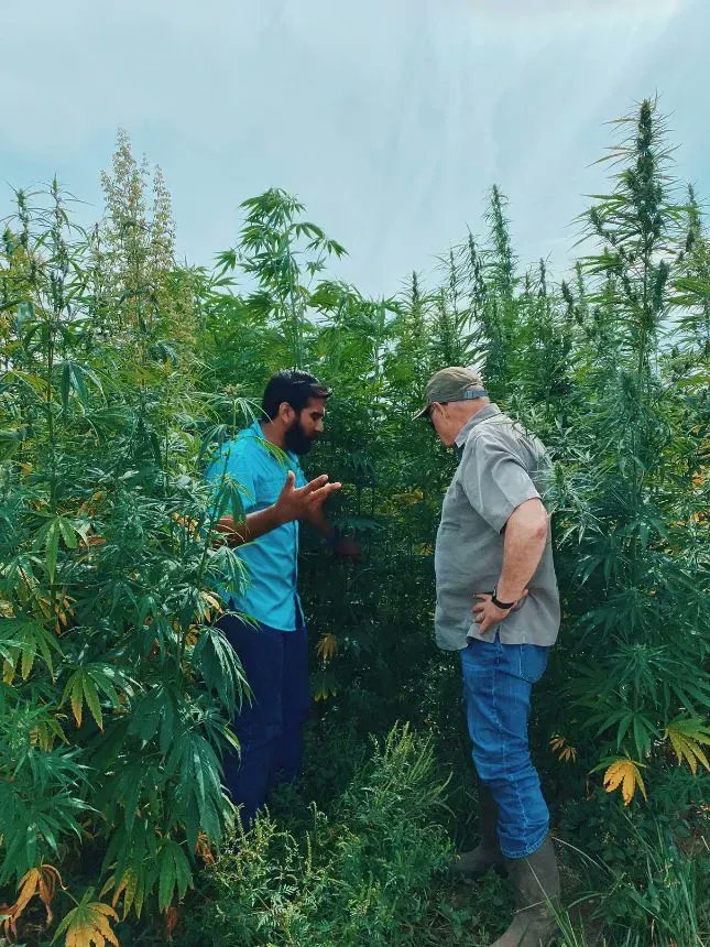 International Hemp tweet media