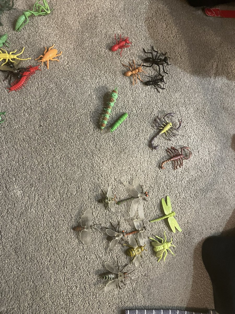 AingerLauren's tweet photo. @IntakeSchool SA Y2S enjoyed learning about bugs tonight, he found some were big and some were small, some had wings and lots of legs and he was able to name a fair few 🐛 and met them a big house 😊 https://t.co/Iint6pfyGu
