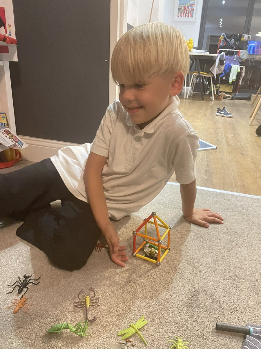 AingerLauren's tweet photo. @IntakeSchool SA Y2S enjoyed learning about bugs tonight, he found some were big and some were small, some had wings and lots of legs and he was able to name a fair few 🐛 and met them a big house 😊 https://t.co/Iint6pfyGu