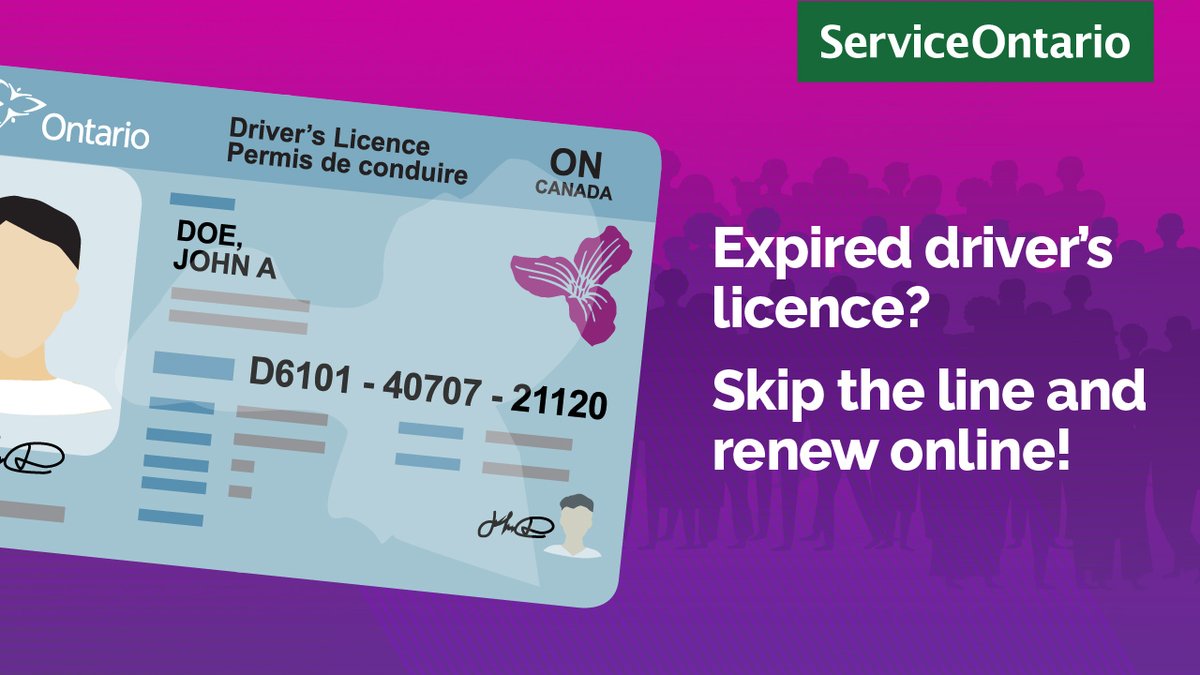 ServiceOntario Chris Gavin