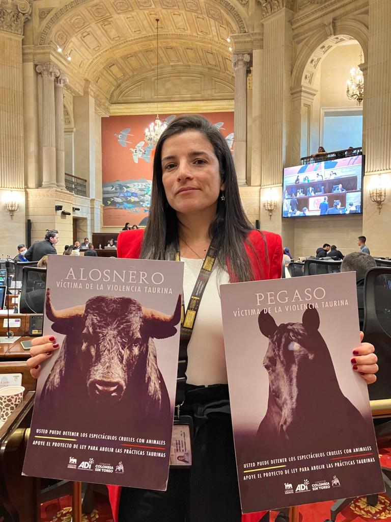 #ColombiaSinToreo | 🚫🐂🐎Con alegría y con gratitud a las organizaciones antitaurinas  que lo han hecho posible, hoy se hará el segundo debate del  proyecto de ley para la prohibición de prácticas taurinas en Colombia. Aquí estamos para decir #NoMásOlé 🇨🇴