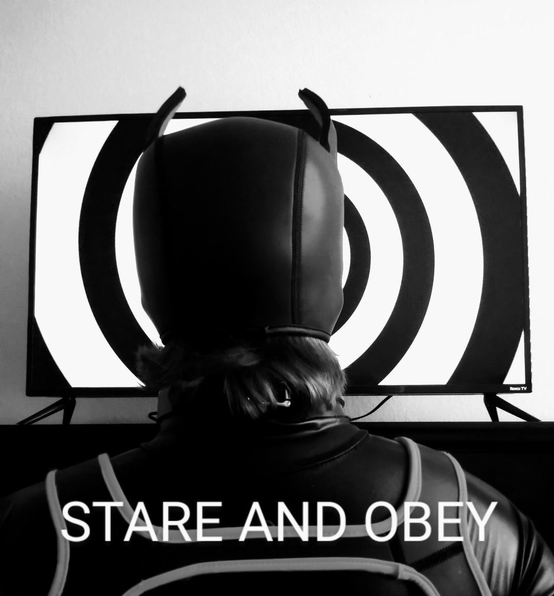 Pup Vector (@pvector221) on Twitter photo 