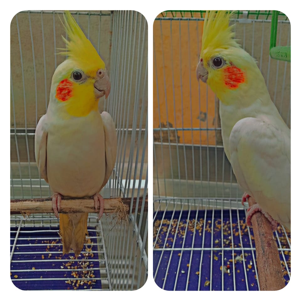 aich_for_hamid's tweet photo. keeping LeSs friendS and more birdS
Believe me It never HurtS Uh ✌ https://t.co/EY6LVPvfnj