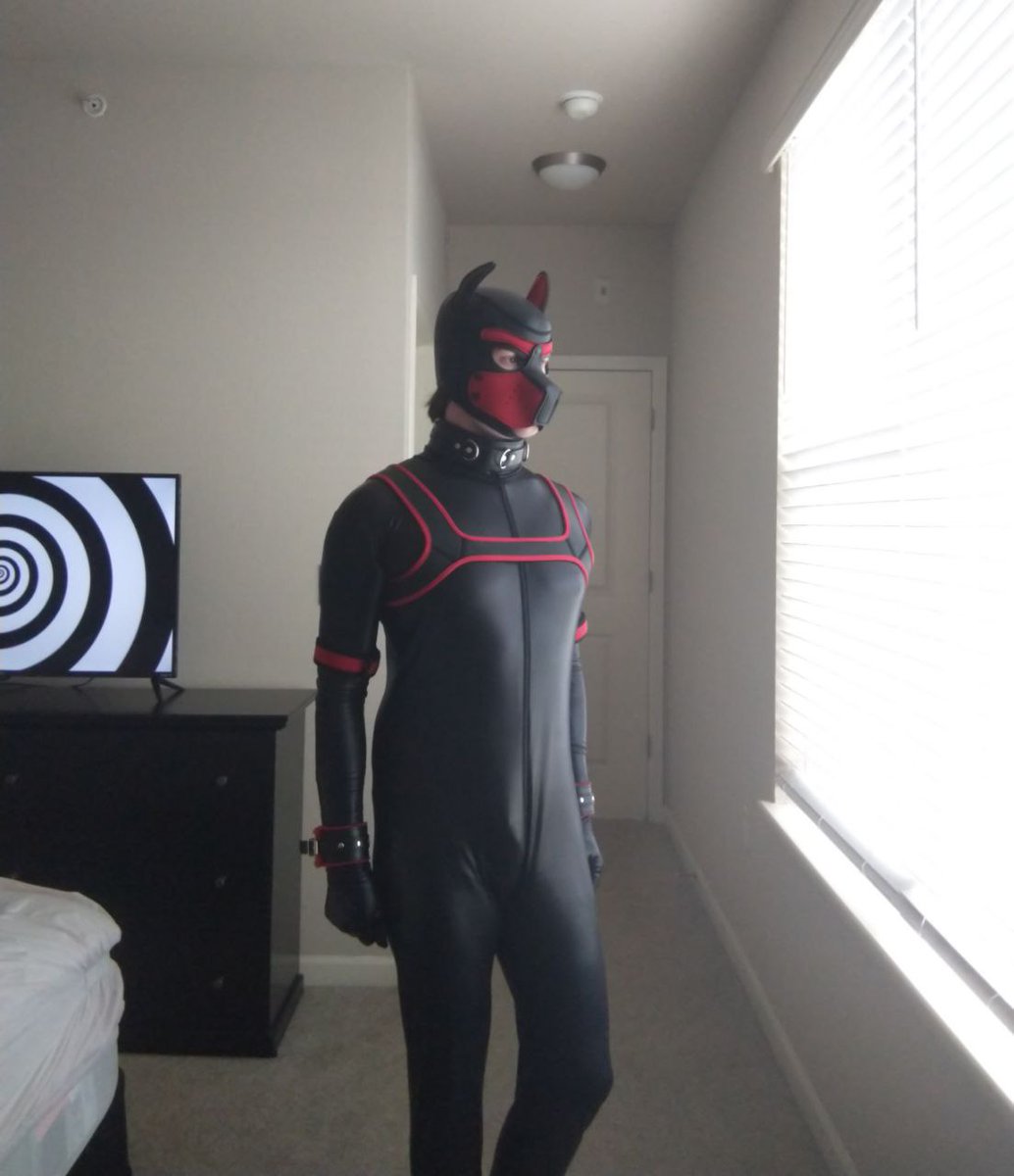 more random gaypup pics