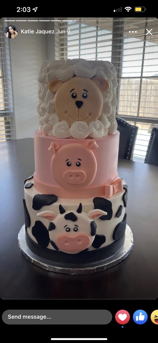 ANYWAYS yall need to hit up my bestie shes a badass baker and all her cakes flavors are BOMB, shes so talented 🤩 i will never not brag on her ! (reminder to keep ur cake at a cool temp and not in the heat for too long.. some ppl dont know how that works) @katiejaquez26