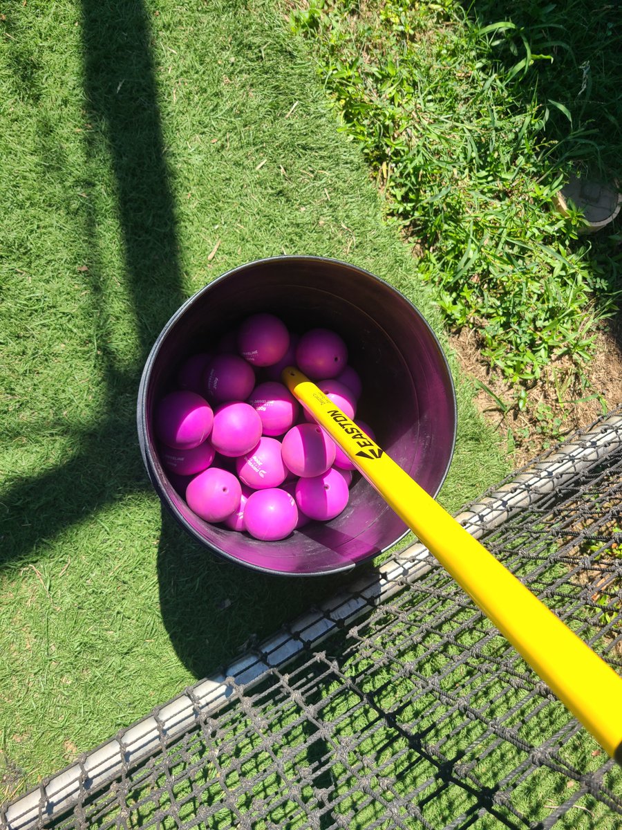 WestMesquiteBSB's tweet photo. Offensive work for the day. 

1. End loaded stepbacks
2. Handle loaded walk-throughs
3. Underload shuffle swings
4. Thunderstick Mini Plyos front Toss
5. Velo Machine 

&amp; Some med balls to prep the system. 
Dedication to the Preparation. 
#FocusedPractice https://t.co/5dz3ZanK7a