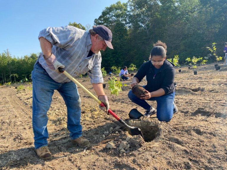 GustineAgger's tweet image. #Treeblog 100 volunteers plant 2,075 trees at blackbird state forest for the Harriet Tubman Bicentennial to provide scenic beauty ,e chance wildlife improve water quality.This was done by Delaware forest service &apos;urban and community forestry service and funded by us forest svc