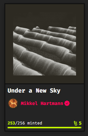 mikkel.tez tweet media