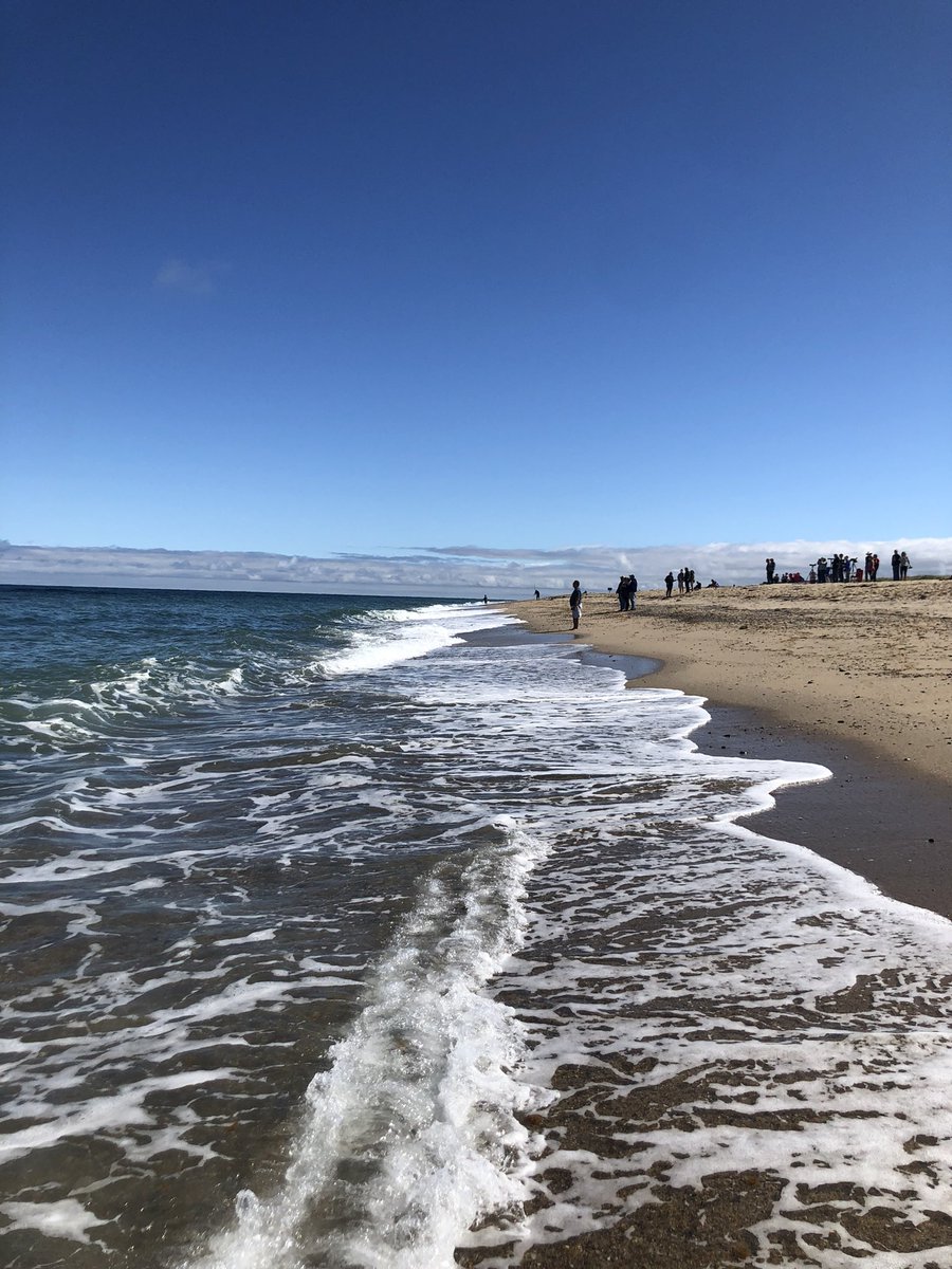 Amillar20Millar's tweet photo. #provincetown #capecod https://t.co/2C9GK43meG