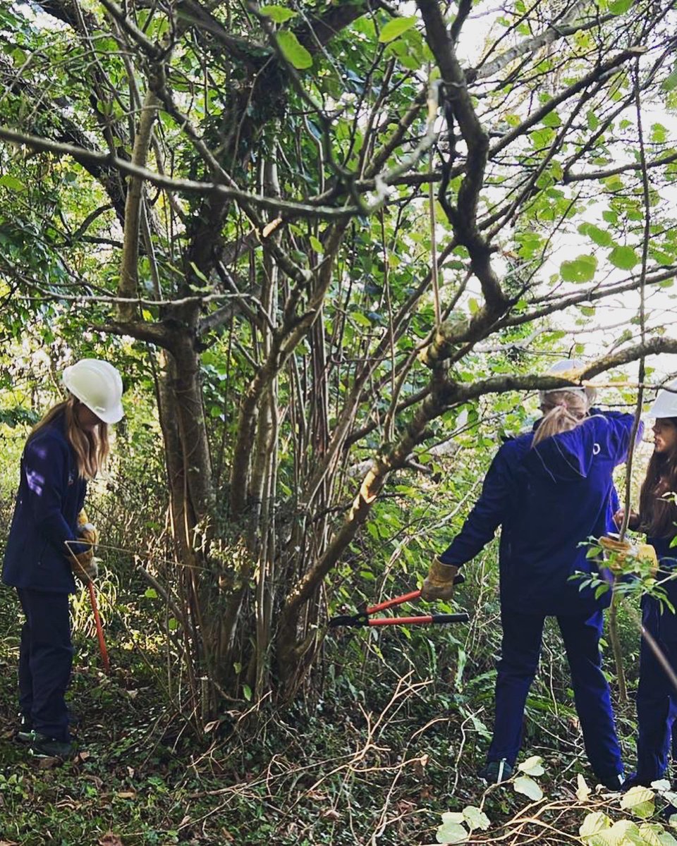 Miss Noall’s tutor group completing some environmental management at Worley Hill today 🌳🪚🍁🍂🥾#becurious #themillfieldway #conservingnature #teamwork <a href="/MillfieldSenior/">Millfield School</a> <a href="/MFPastoral/">MillfieldPastoral</a> <a href="/NineAtMillfield/">9@Millfield</a>