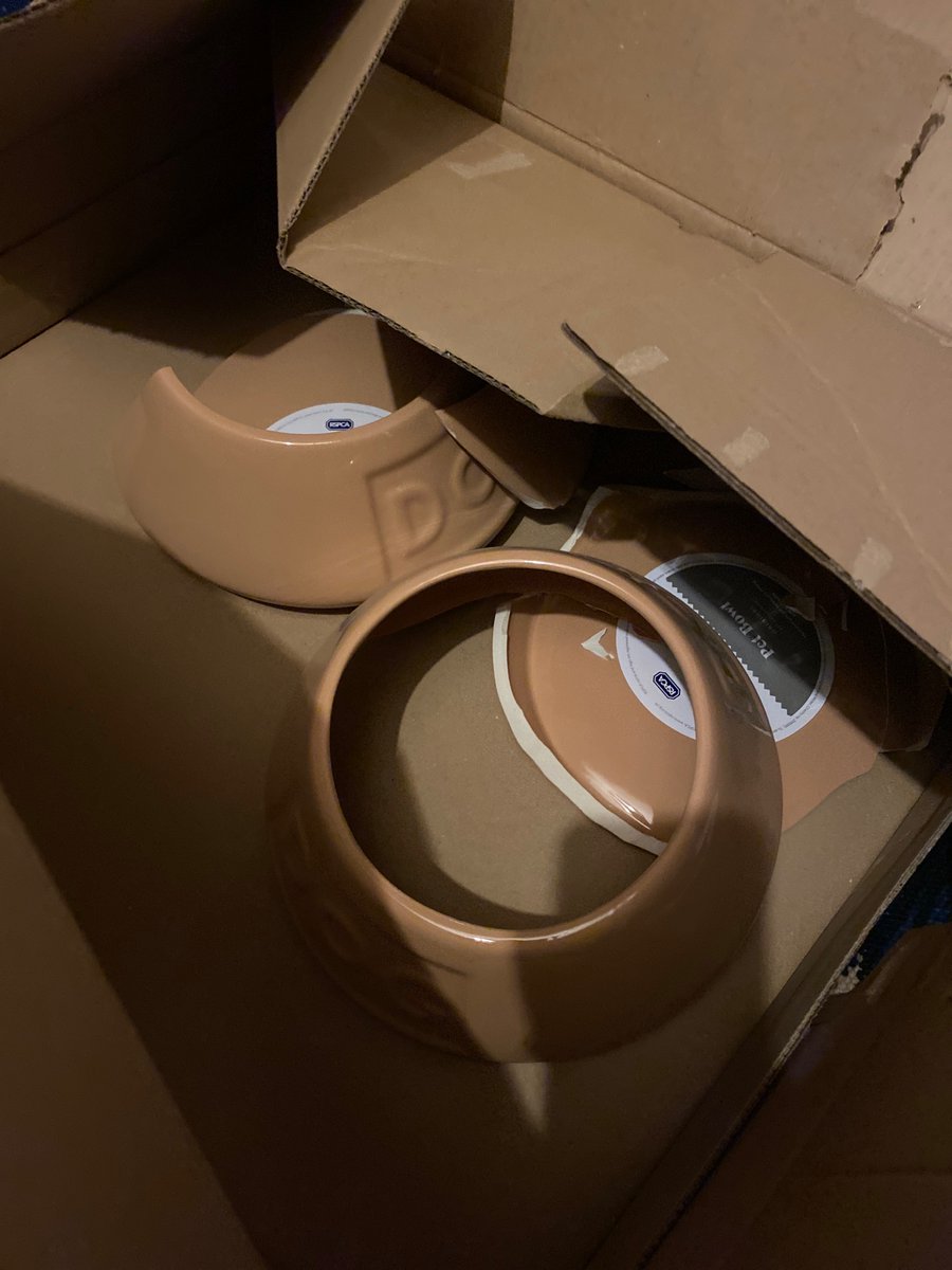 MG_Thompson's tweet photo. @PetsatHome my replacement bowls are smashed just like the original, because you keep mailing them with no padding to protect them?! This is just wasting my time. I’m not shopping with you again. https://t.co/HVureU7XMT