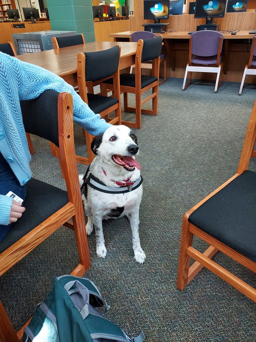 Chill with Charlie and Read!  We had a special guest join us during Flex Hour in the library today.  Thank you! <a href="/JamieDeborde/">Jamie Cliffe DeBorde</a> <a href="/TherapyCharlie/">Charlie The Therapy Dog</a>  <a href="/HumbleISD_KPHS/">Kingwood Park HS</a> <a href="/HumbleISD_lib/">Humble ISD Libraries</a> #thehumblelibrarian