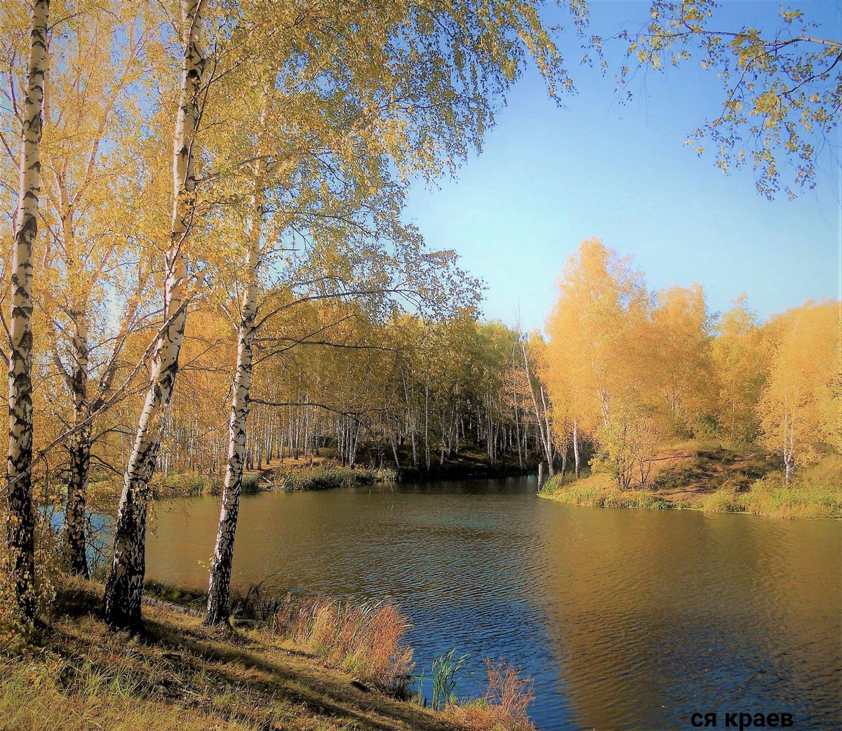 Krasoti_Rossii's tweet photo. Осень. Рязань. https://t.co/pJxB7JLDxj